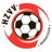 HZVV logo